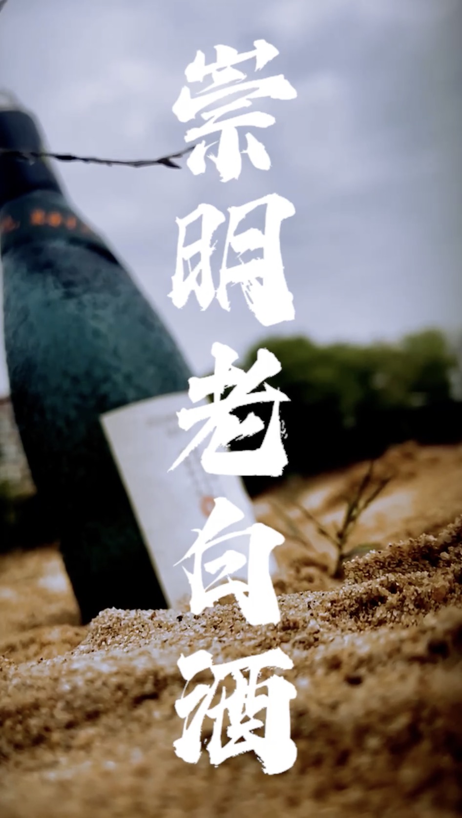 “上海崇明老白酒”新媒体营销策划案